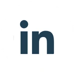 Social icon - LinkedIn